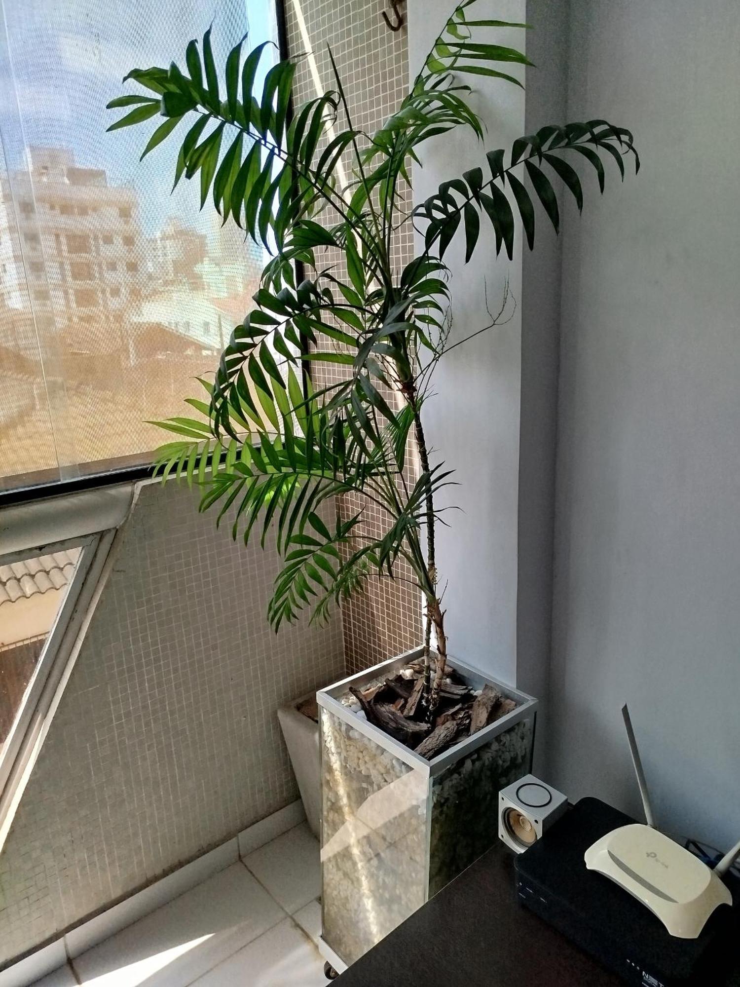 Apartamento Impecavel Na Enseada Guarujá Exteriör bild